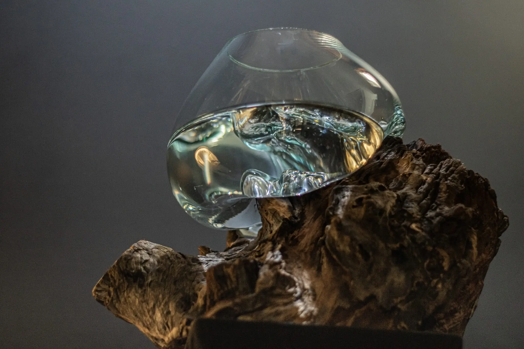 Una vasija de vidrio en equilibrio sobre una raíz de madera.