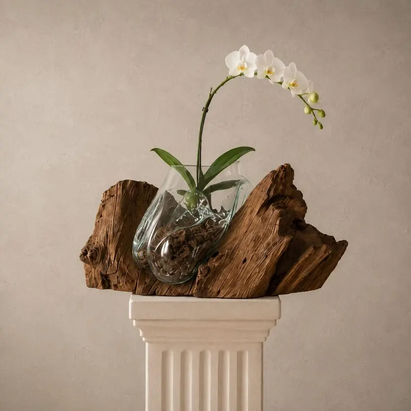 Orquídea en un orquidero de vidrio sobre eucalipto barnizado.